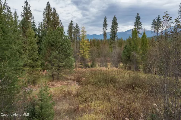 Moyie Springs, ID 83845,NKA-Lot 1 Highway 2