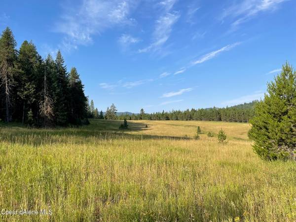 NKA Whitetail Draw Rd Lot 2, St. Maries, ID 83861