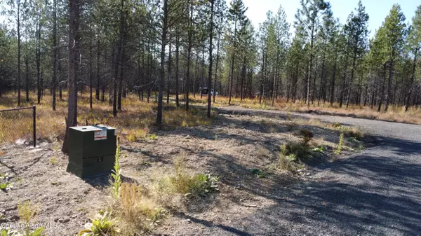 Rathdrum, ID 83858,NKA Lot 2 Block 1 Aubrey Estates