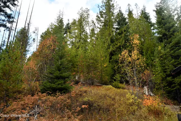 Emida, ID 83861,290 Campfire Ln