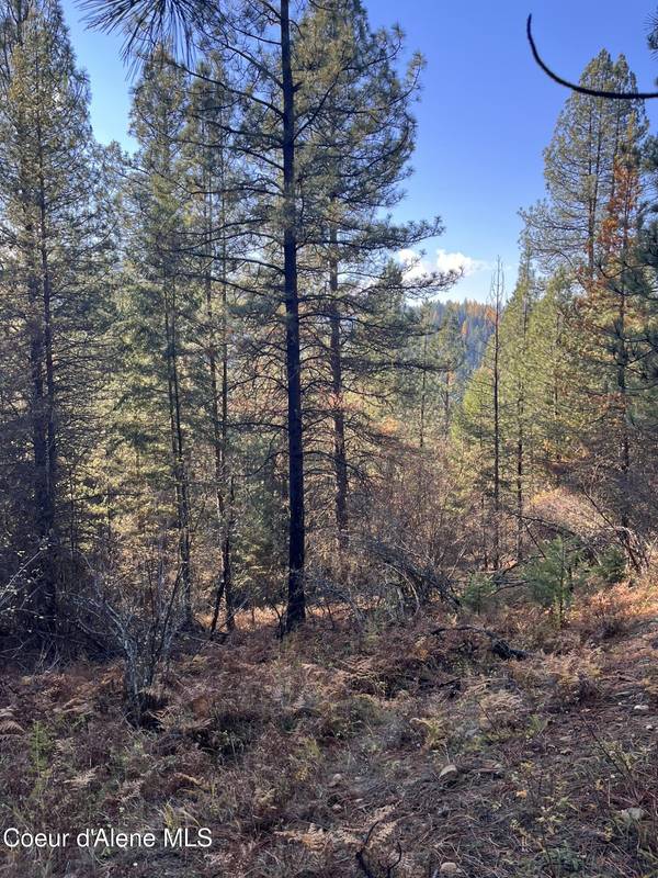 20.0acs French Gulch Rd, Kingston, ID 83839