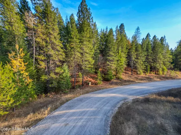 Naples, ID 83847,Lot 10 Saddleback Dr
