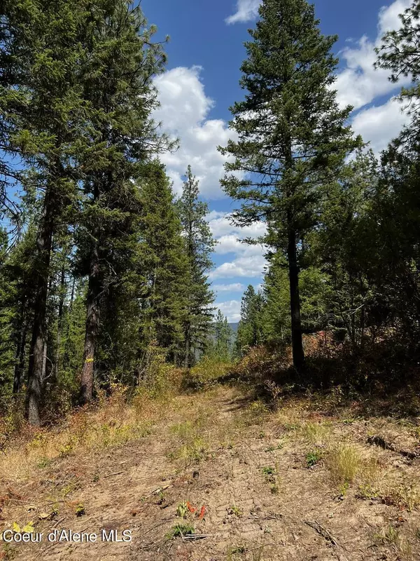 Blanchard, ID 83804,NKA Forest Way