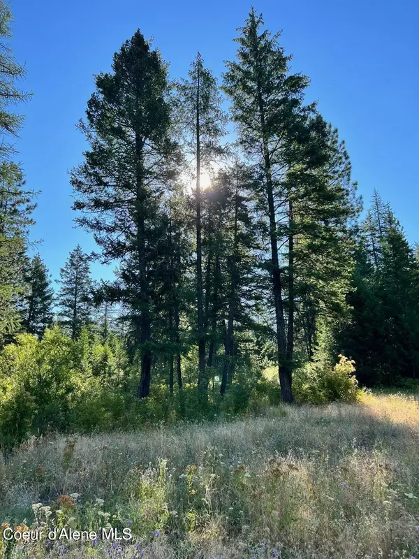 Blanchard, ID 83804,NKA Forest Way