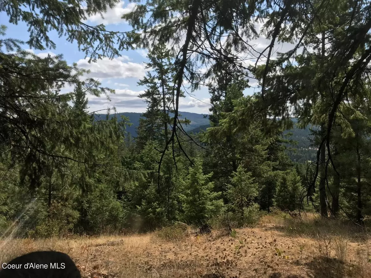 Blanchard, ID 83804,NKA Forest Way