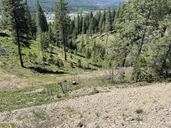 Smelterville, ID 83868,795 Southfork Ridge Rd