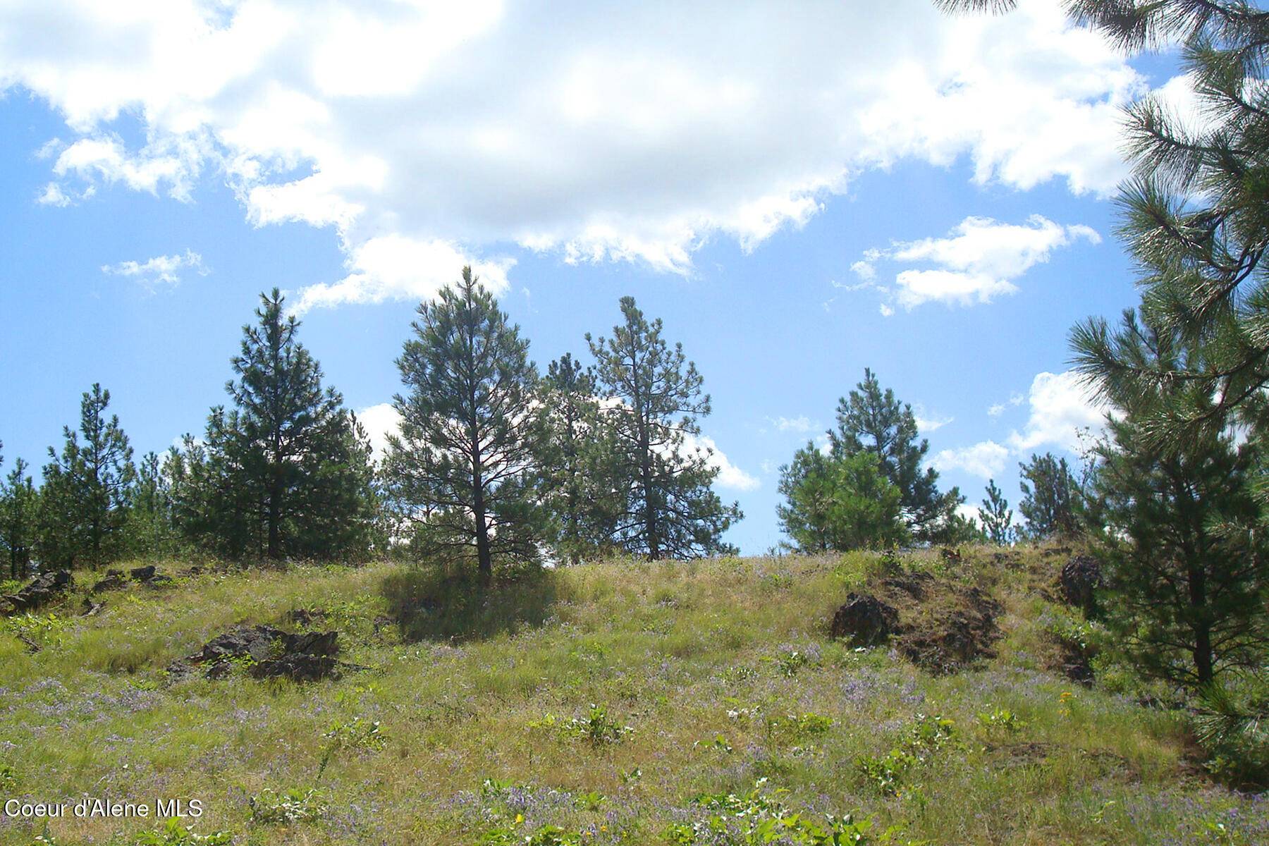 Chattaroy, WA 99003,Lot 33 E Robin Ln