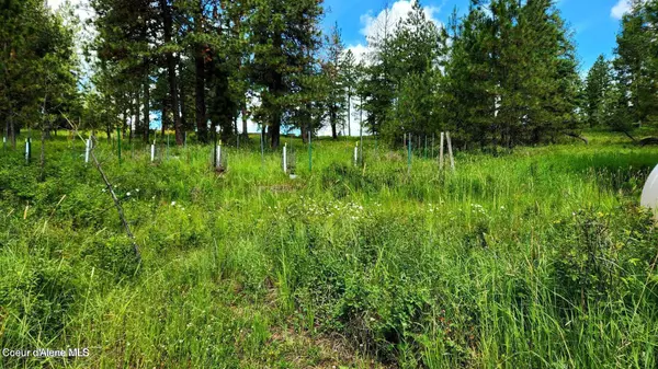 Worley, ID 83876,15381 W Sunmeadow Rd