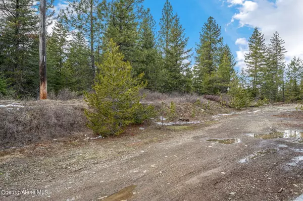 Spirit Lake, ID 83869,32988 N 10th Ave