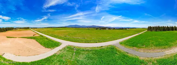 Chattaroy, WA 99003,L2 N Orchard Bluff Road