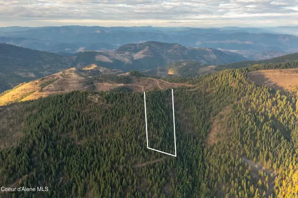 Cataldo, ID 83810,NNA Higbee Draw Rd.