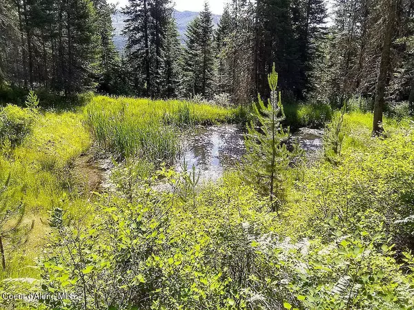 St. Maries, ID 83861,575 E Watertower Rd