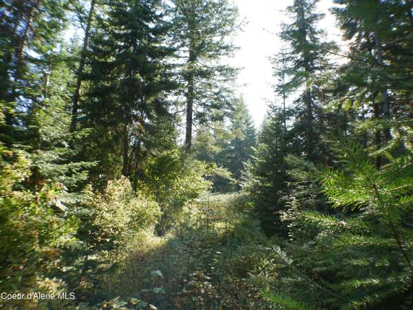 Mutch Creek Road (Parcel 4), St. Maries, ID 83861