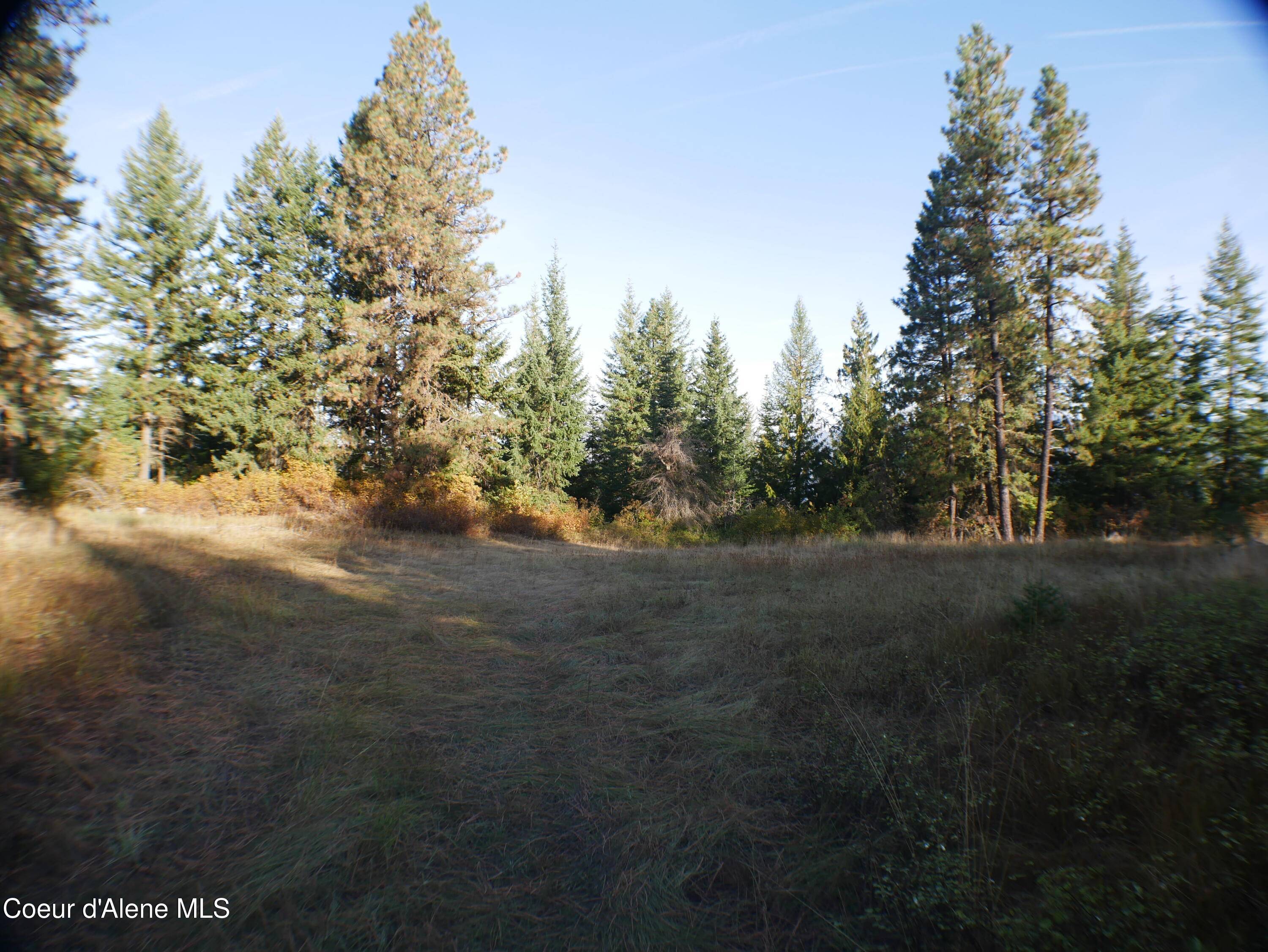 Mutch Creek Road (Parcel 5), St. Maries, ID 83861