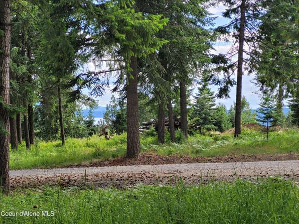 NKA S Skyview Rd, Harrison, ID 83833