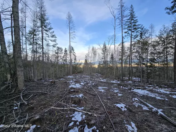 Bonners Ferry, ID 83805,NNA WEST SIDE RD PARCEL 5