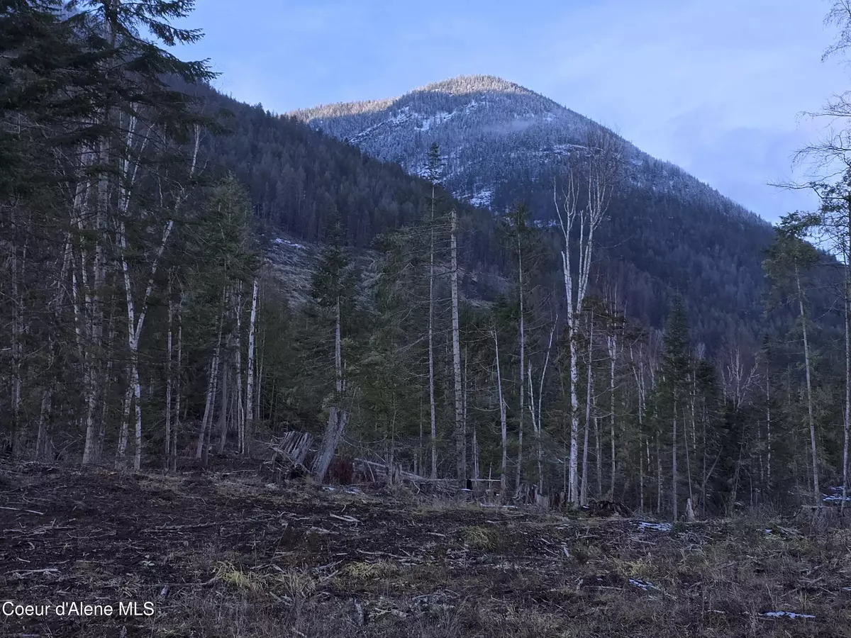 Bonners Ferry, ID 83805,NNA WEST SIDE ROAD PARCEL 4