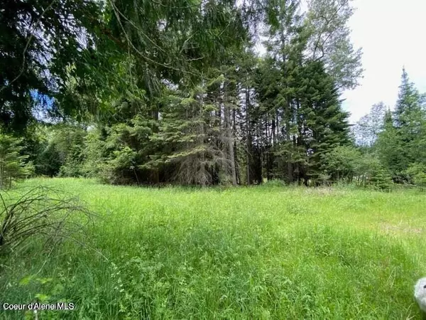 Wallace, ID 83873,NNA Beaver Creek Rd. Lot 1