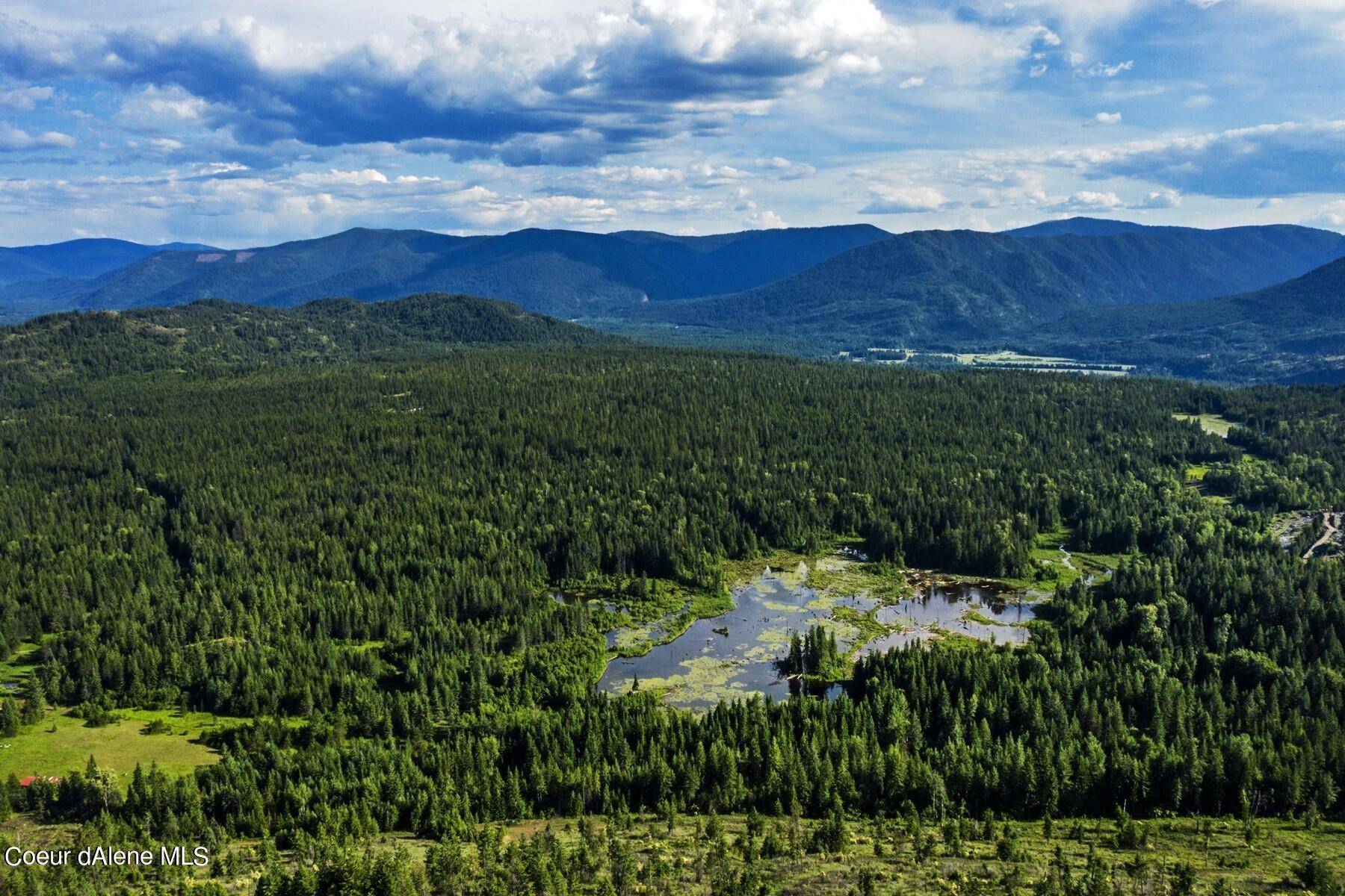 Clark Fork, ID 83811,2755 USFS Rd 2295