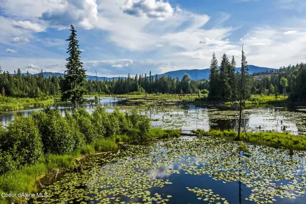 2755 USFS Rd 2295, Clark Fork, ID 83811