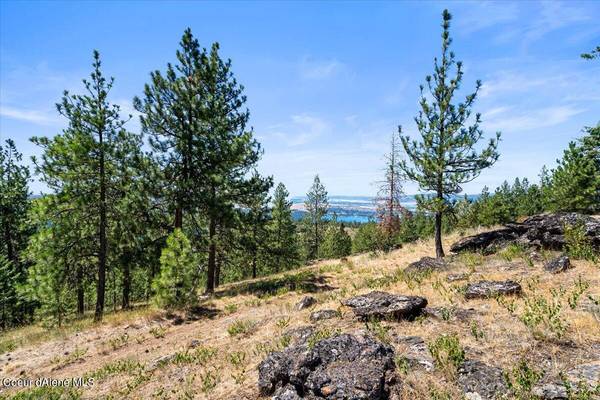 NKA - 20 Acres Hyatt Hills, Post Falls, ID 83854