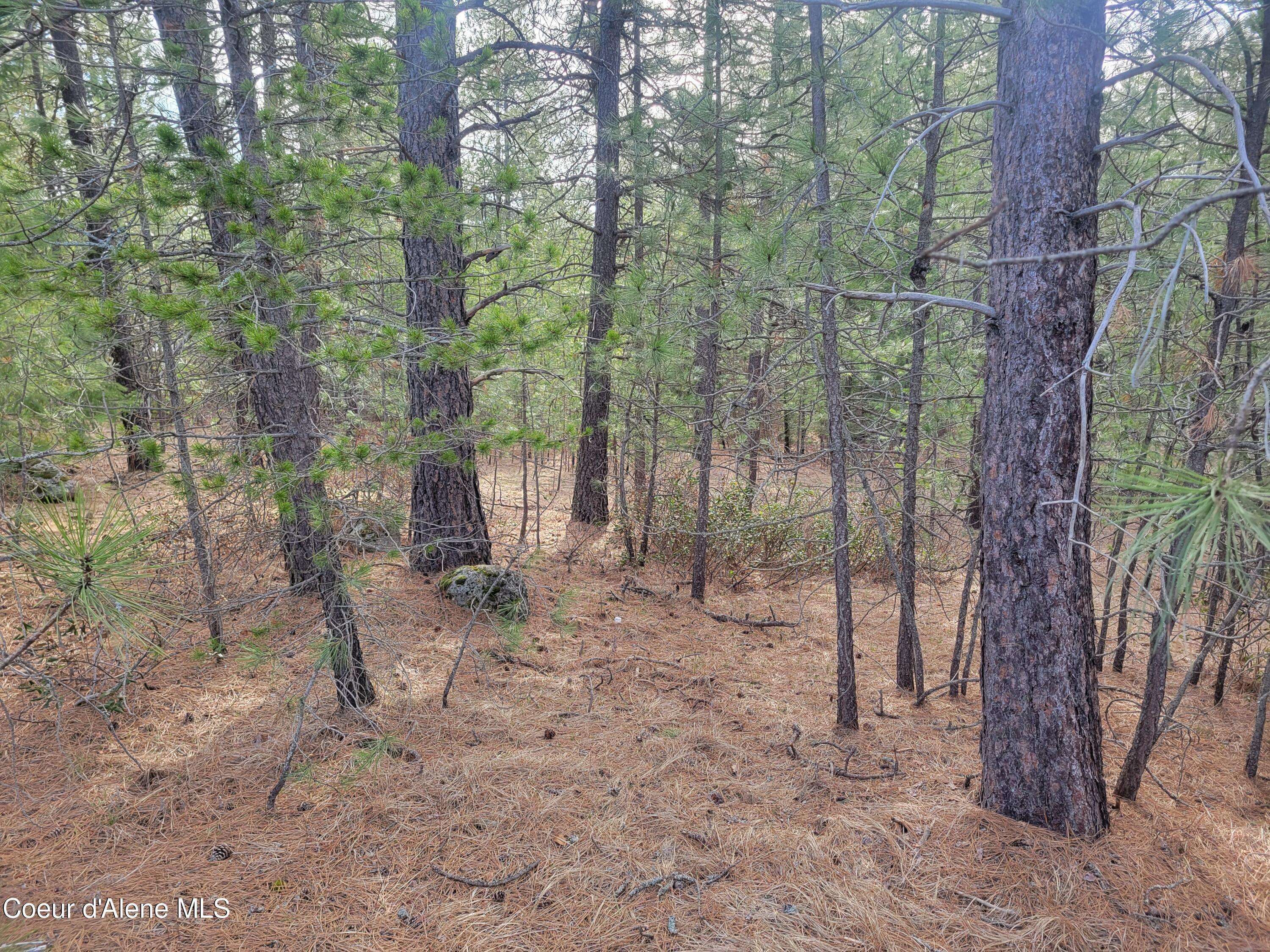 Athol, ID 83801,NNA N Ramsey RD