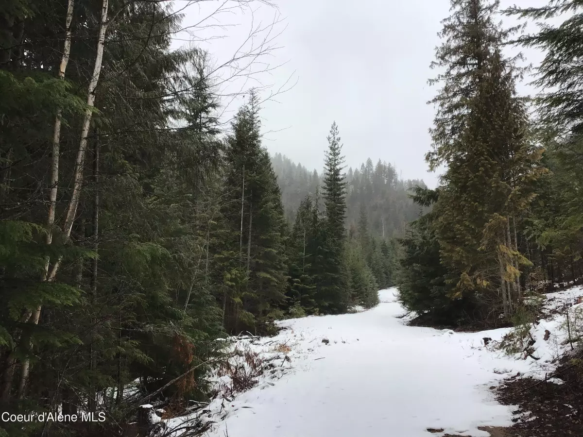 Sandpoint, ID 83864,NKA Elmira Road Rd