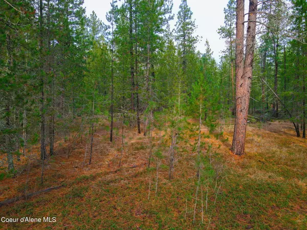 Blanchard, ID 83804,NNA Blanchard Cutoff