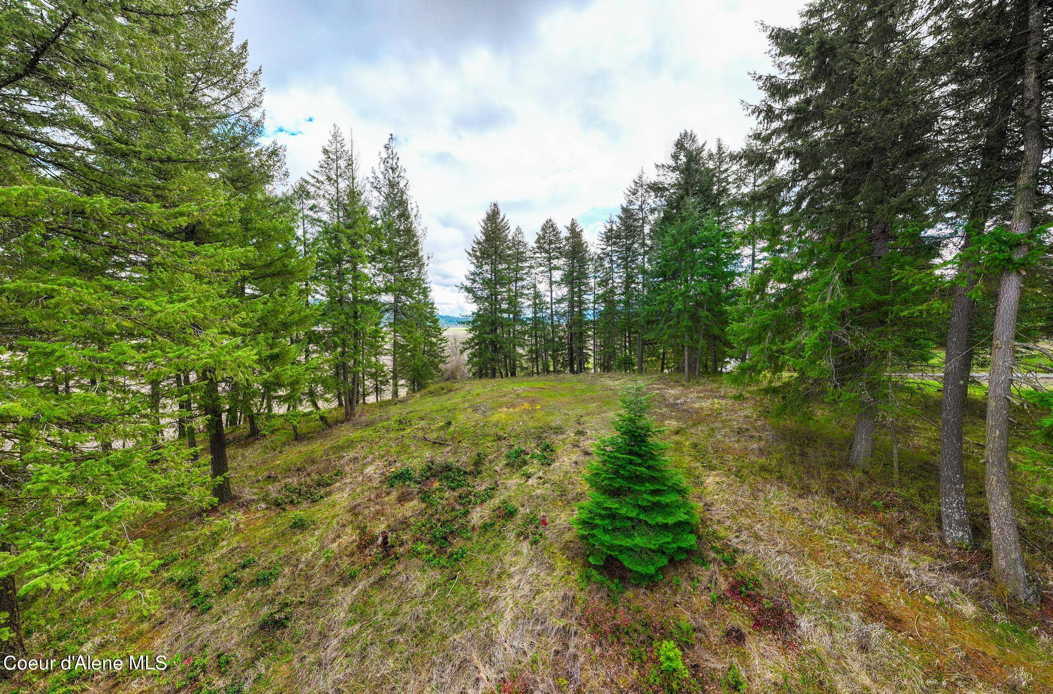 Newman Lake, WA 99025,NNA NW Newman Lake Drive