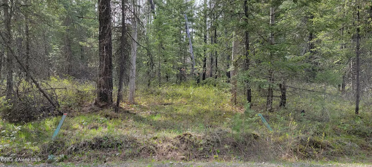 Priest River, ID 83856,1395 Estates LOOP