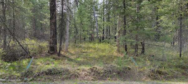 1395 Estates LOOP,  Priest River,  ID 83856