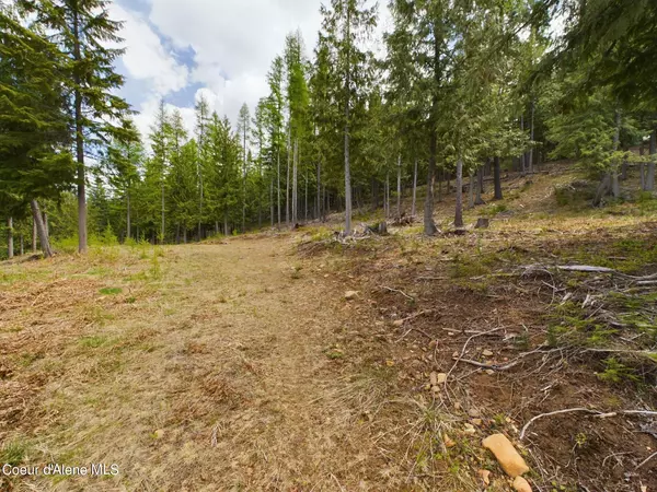 Kingston, ID 83839,Lot 2 Moose Mountain LN