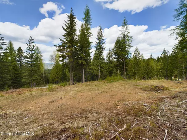 Kingston, ID 83839,Lot 2 Moose Mountain LN