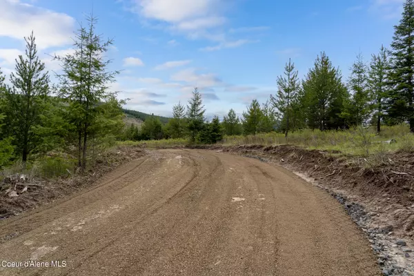 Santa, ID 83866,1297 Sheep Creek Parcel C