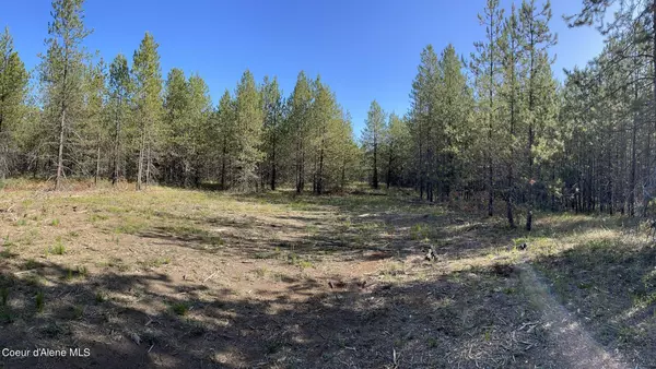 Spirit Lake, ID 83869,193 Virgil Lane