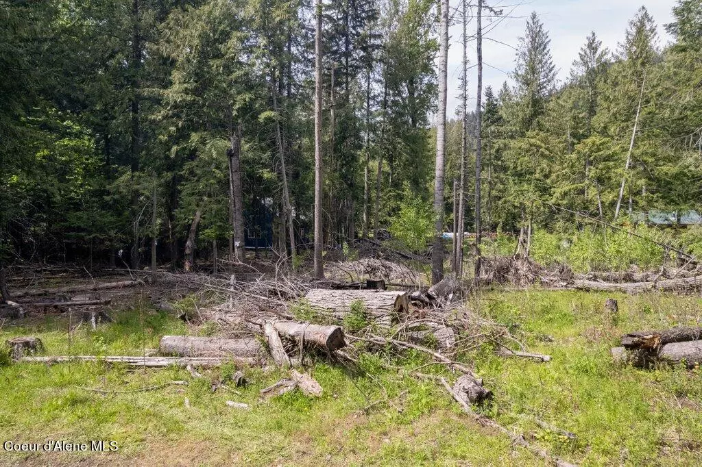 Bayview, ID 83803,Lot 27 Silver Ave