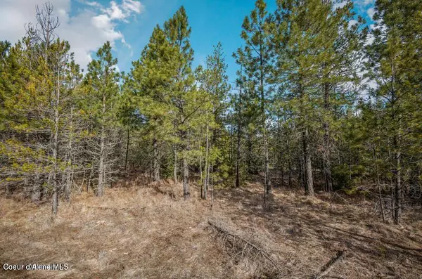 Athol, ID 83801,11+ ac E Son Shine Way