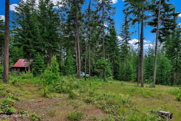 Sagle, ID 83860,594 Wild Hawk Lane