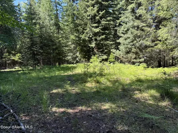 Bonners Ferry, ID 83805,NNA 20acs Peak Lane