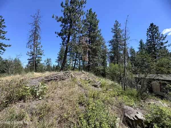 Post Falls, ID 83854,12243 W Riverview Ter