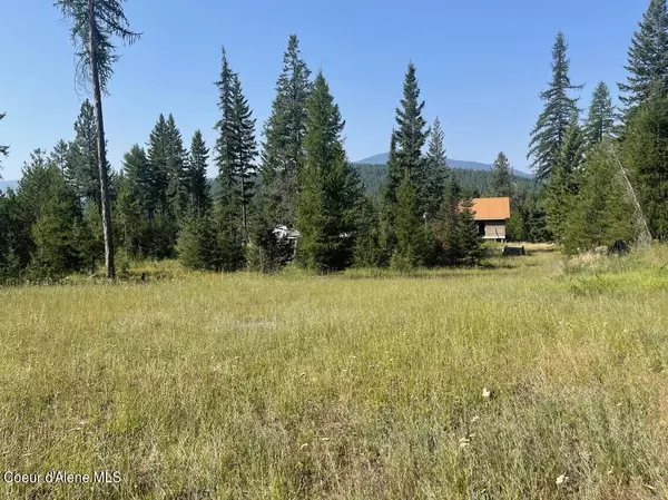 Moyie Springs, ID 83845,359 Curley Creek Rd.