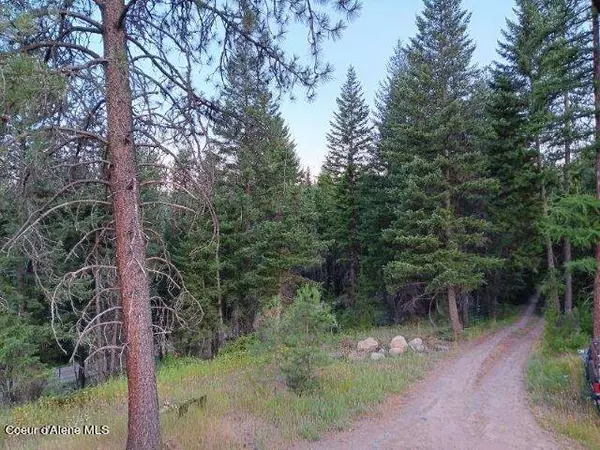 Moyie Springs, ID 83845,359 Curley Creek Rd.