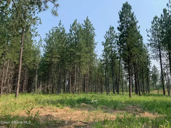 Athol, ID 83801,32606 N Sheep Springs Rd