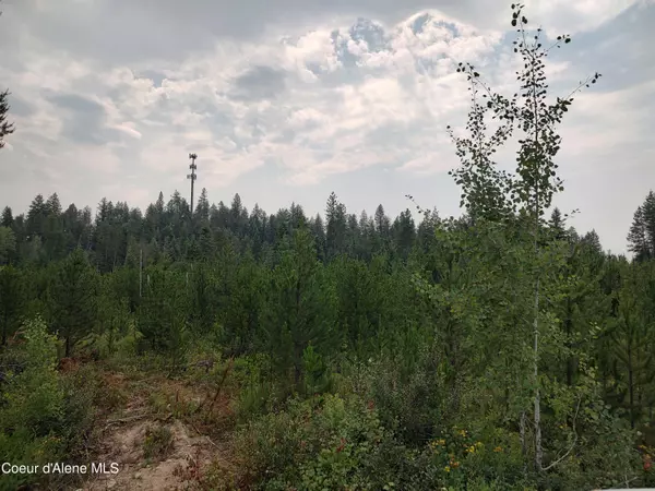 Athol, ID 83801,L3 Mara Meadows