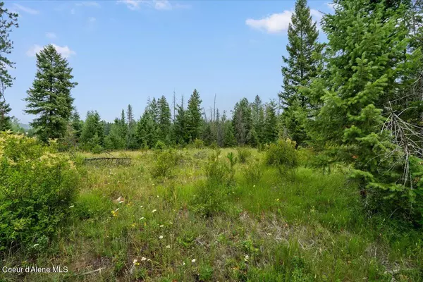 Athol, ID 83801,L2 Mara Meadows