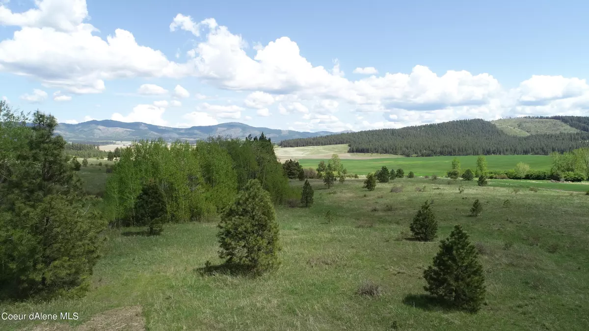 Desmet, ID 83824,Lot 10 Warbler Lane