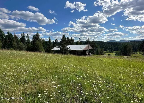 1028 Charlie Creek Road, Emida, ID 83861