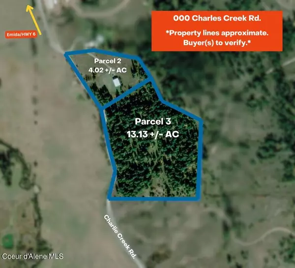 Emida, ID 83861,1028 Charlie Creek Road