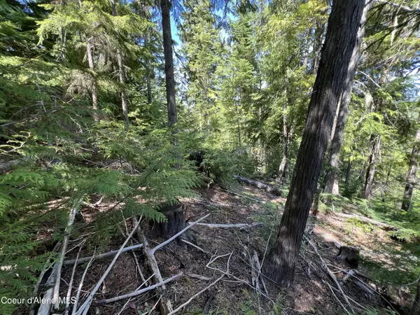 Fernwood, ID 83830,520 Alpine DR