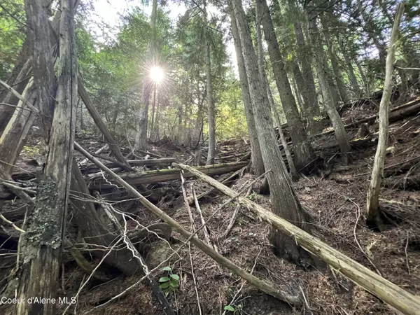 Fernwood, ID 83830,2211 Alpine Dr